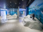 The Polar World exhibit. Antarctica