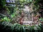 The Tropical Rain Forest exhibit