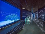 The Ocean Abyss exhibit