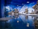The Polar World exhibit. The penguinarium