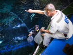 Водолаз доставляет новоселов в нужную точку