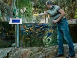 гости океанариума могут наблюдать кормление рыб в водоеме у водопада