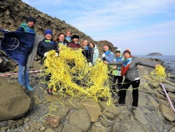 Prymorsky Aquarium Has Explored the Beach Litter