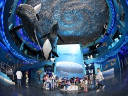 Primorsky Aquarium is open on June, 12