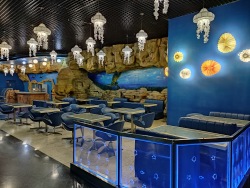 Cafes at the Primorsky Aquarium are temporarily closed
