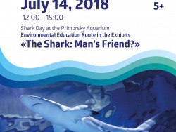 “The Shark: Man’s friend