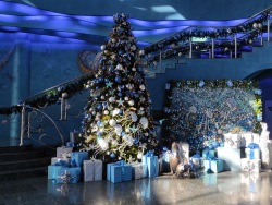 The Primorsky Aquarium looks forward to welcoming guests during New Year holidays