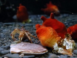 Underside view: a fresh angle on the seafloor