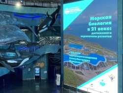 International conference on marine biology held in Vladivostok