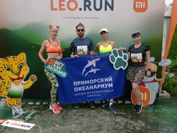 Aquarium on the move: LEO.RUN half marathon