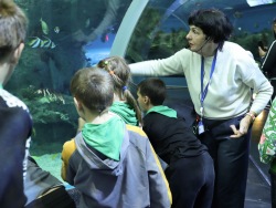 Children with special education needs attend Primorsky Aquarium