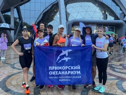 Океанариум в движении: VLADIVOSTOK RUN