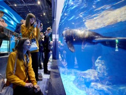 Finalists of National Technology Olympiad are impressed by Primorsky Aquarium