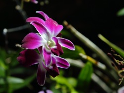 A bit of eternal summer in the Primorsky Aquarium